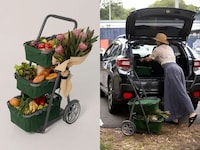 Personal Shopping Carts Image 3