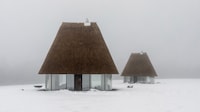 Thatched Modern Guesthouses Image 3