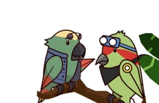 Authentic Conversation Platforms