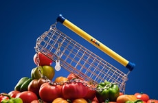 Shopping Cart-Style Bags