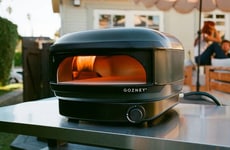 Beginner-Friendly Pizza Ovens