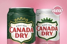 Fruit-Forward Ginger Ale Sodas