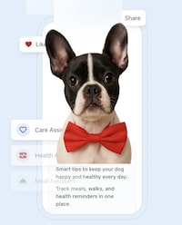Pet Social Networks Image 1