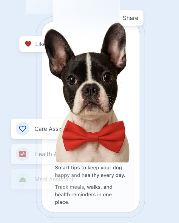 Pet Social Networks