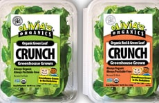 Crunchy Greens Salad Mixes