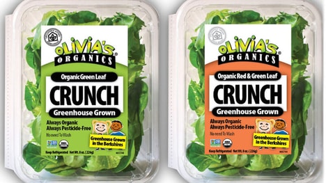 Crunchy Greens Salad Mixes
