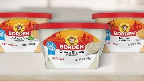 Microwaveable Cheese Brand Dips
