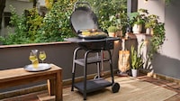 Hybrid Electric-to-Coal Barbecues