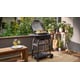Hybrid Electric-to-Coal Barbecues Image 1