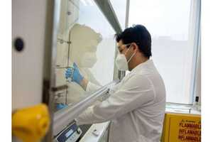 Cellulose-Based Compounds Article Thubnail