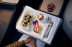 Centennial‑Inspired Airline Menus