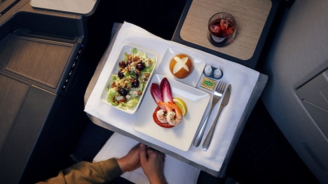 Centennial‑Inspired Airline Menus