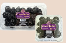 Crave-Worthy Blackberry Varieties