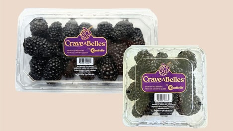 Crave-Worthy Blackberry Varieties