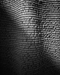 Corn-Made 3D-Printed Buildings Image 4