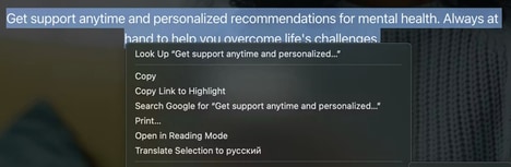 In-Browser AI Tools