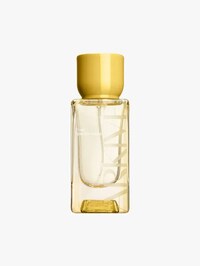 Wanderlust-Inspired Fragrances Image 2