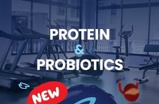 Gut-Friendly Protein Cheeses