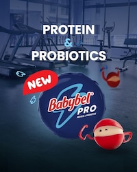 Gut-Friendly Protein Cheeses Image 1