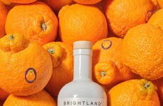 Citrus-Infused Olive Oils