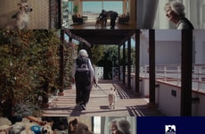 Elderly Companionship Campaigns