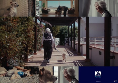 Elderly Companionship Campaigns