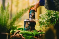 Irish-Style Alcohol-Free Beers Image 2