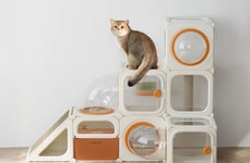 Modular Cat Habitat Systems
