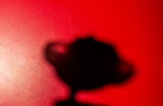 Theatrical Cocktail Experiences