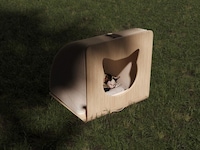Accordion-Like Cat Shelter Image 3