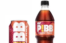 Extra-Flavorful Spiced Fruit Sodas