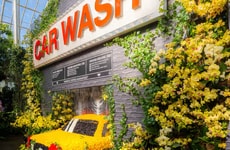 Urban Orchid Installations