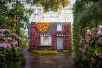 Urban Orchid Installations Image 2