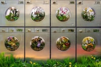 Urban Orchid Installations Image 3