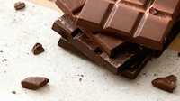Sustainable Cacao Partnerships