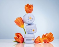 Refillable Repair Treatments