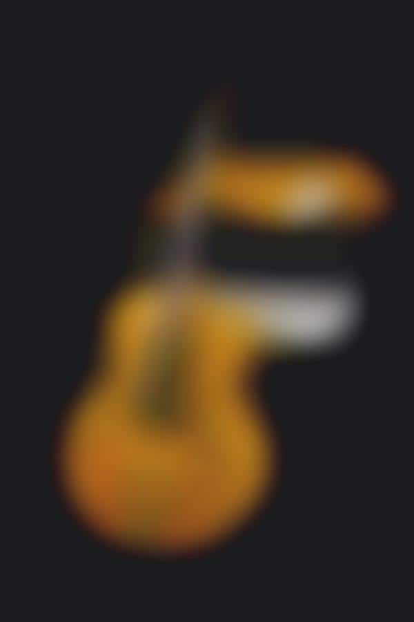 Legendary Guitar Auctions