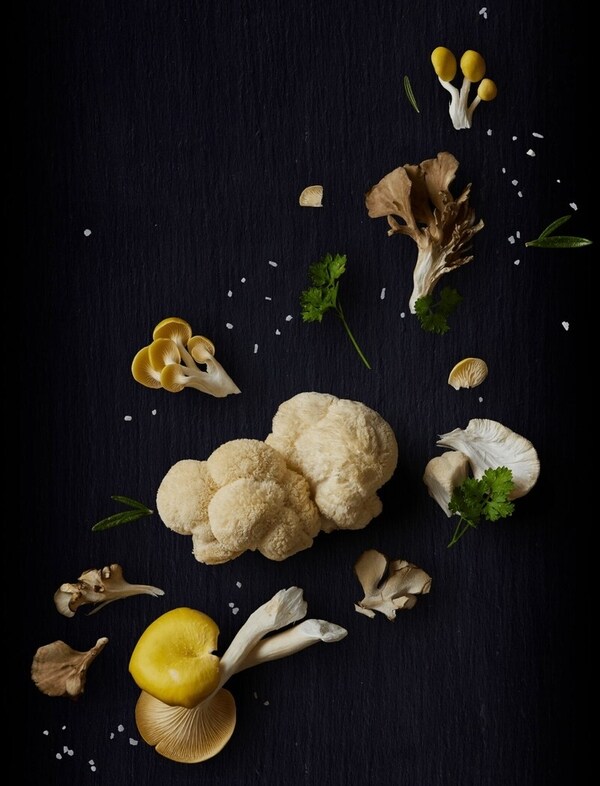 Organic Mushroom Farm Websites