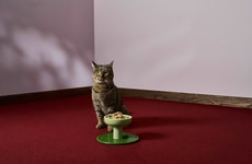 Wide Ceramic Cat Bowls