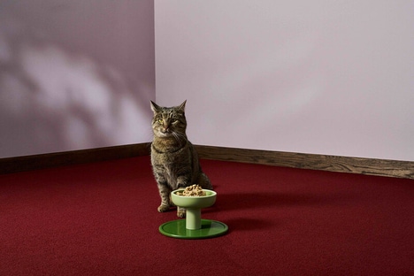 Wide Ceramic Cat Bowls