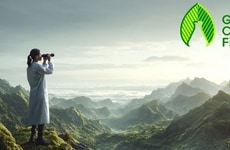 Plant-Based Preservative Databases