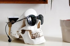 Skull Tabletop Organizer