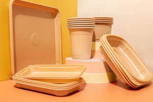 Customized Biomaterial Sheets Article Thubnail