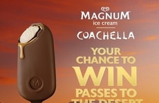 Ice Cream-Sponsored Music Festivals