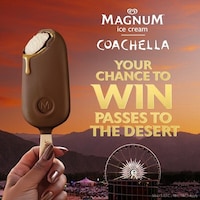 Ice Cream-Sponsored Music Festivals Image 1