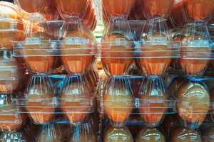 Recycled Food-Focused Trays Article Thubnail