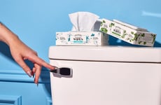 Premium Flushable Wipes
