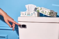 Premium Flushable Wipes Image 1