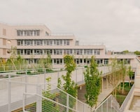 Vertical School Complexes