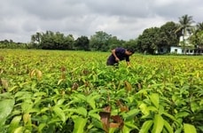 Top 45 Eco Trends in March